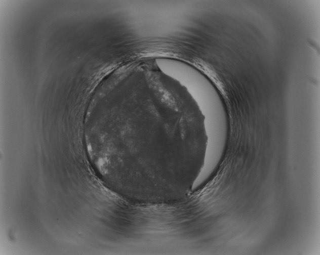 X0000096480385200802211219