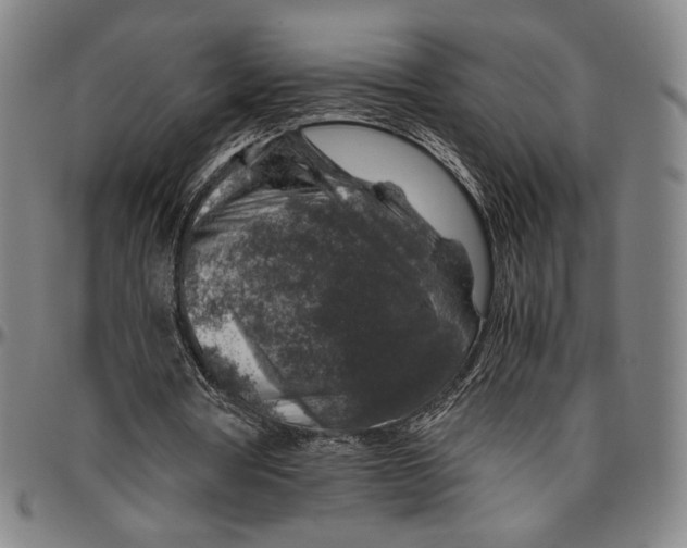 X0000096480386200802211219