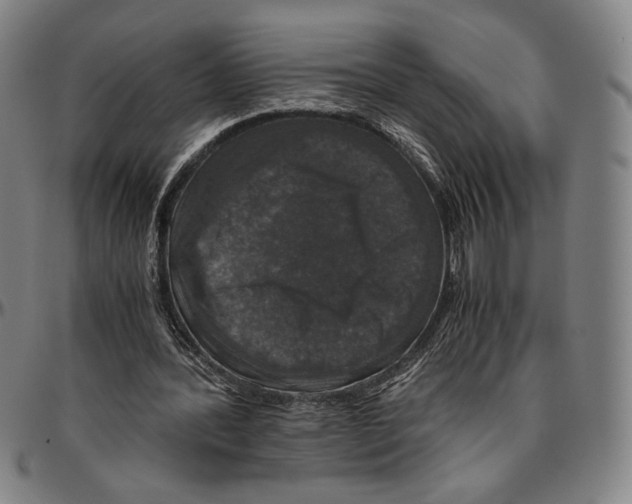 X0000096480388200802211219