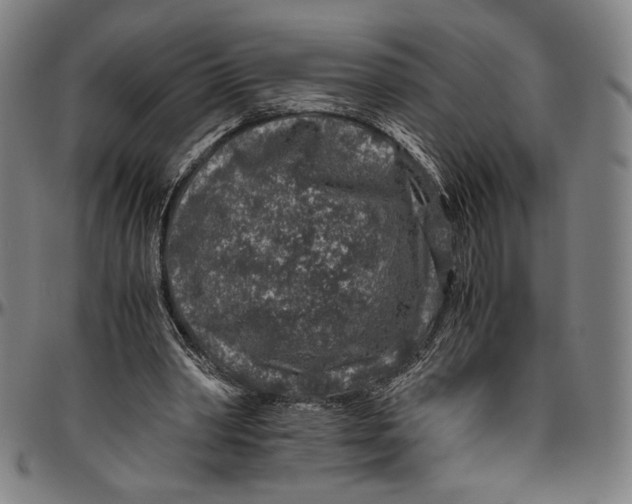 X0000096480390200802211219