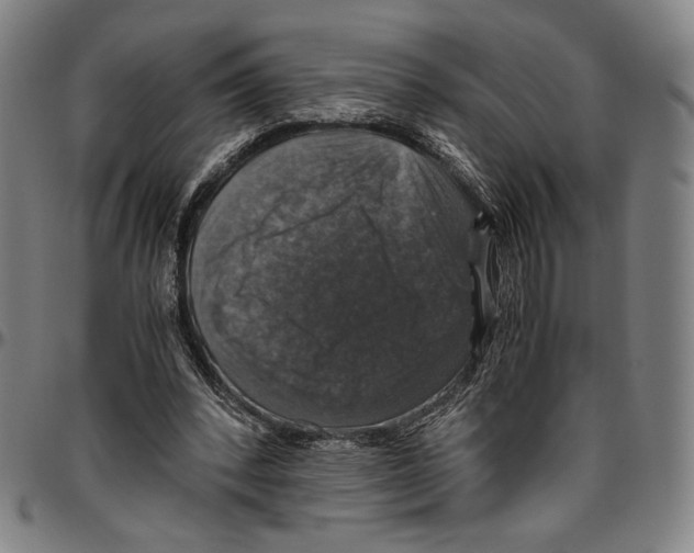 X0000096480392200802211219