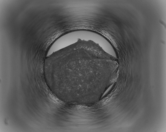X0000096480393200802211219