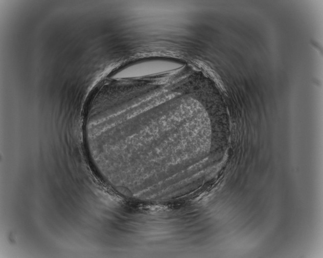X0000096480395200802211219