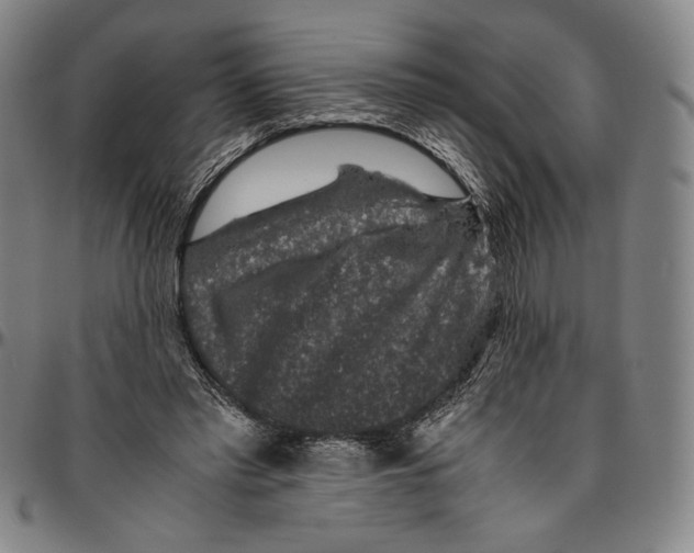X0000096480397200802211219