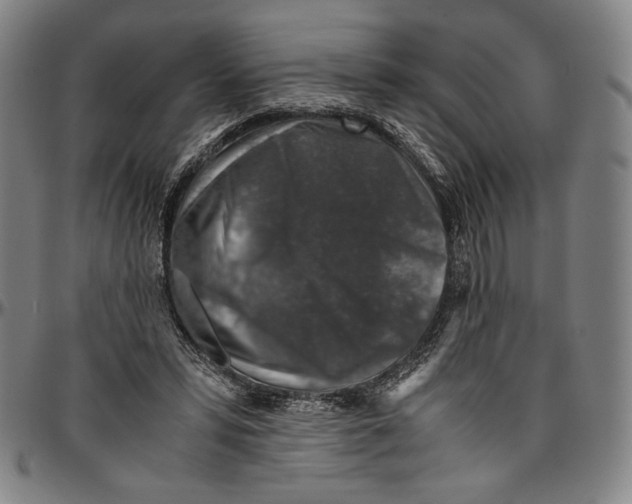 X0000096480399200802211219