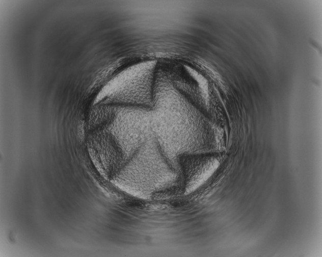X0000096480401200802211219