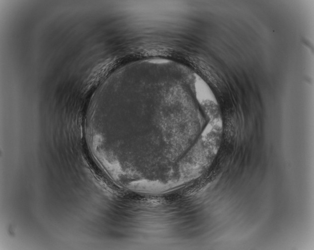 X0000096480402200802211219