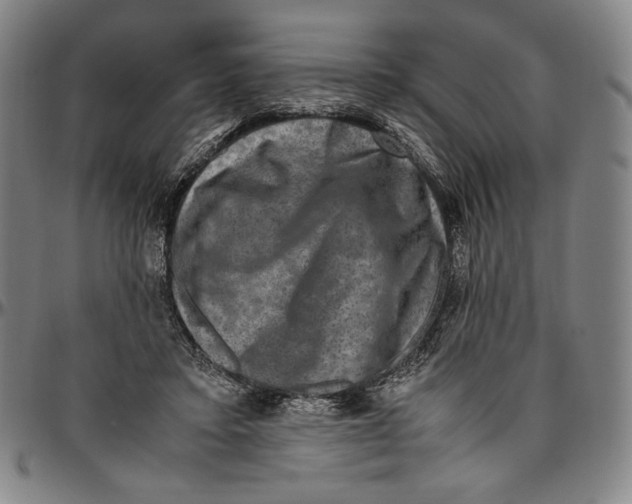 X0000096480403200802211219