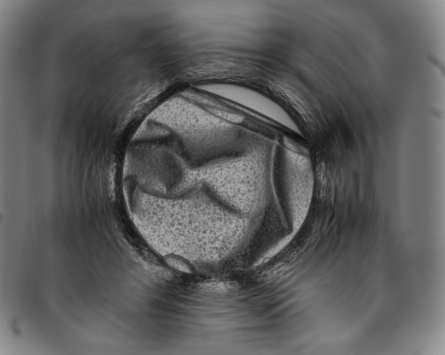 X0000096480404200802211219