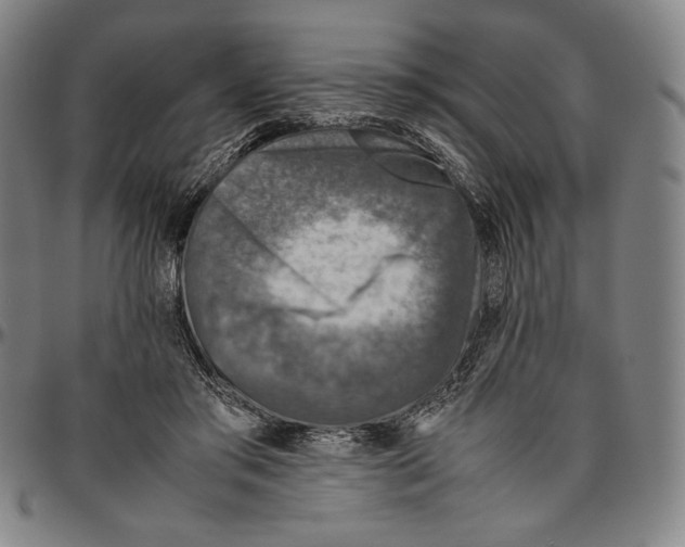 X0000096480405200802211219