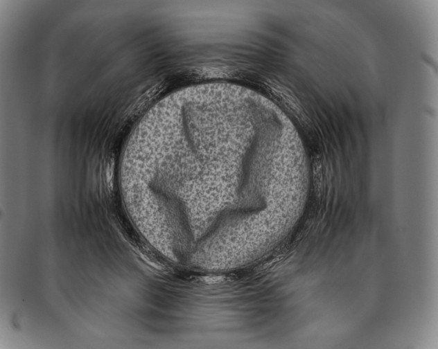 X0000096480406200802211219