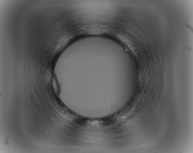 X0000096480407200802211219