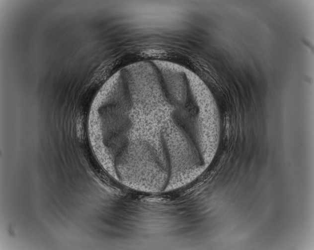 X0000096480408200802211219