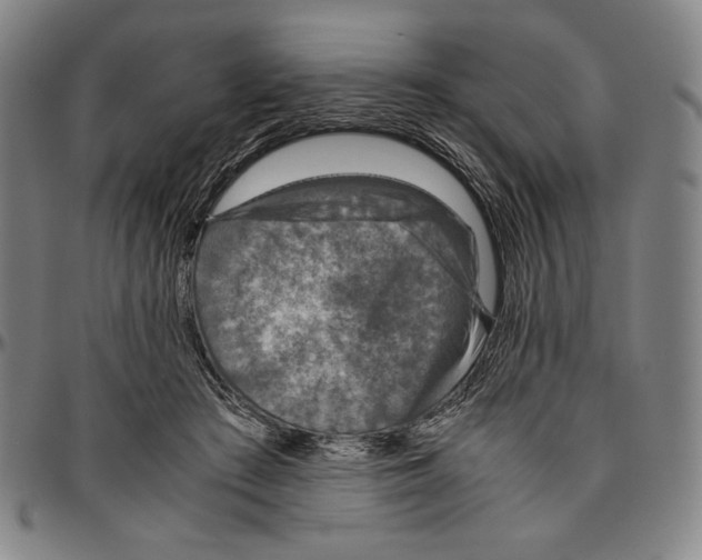 X0000096480409200802211219