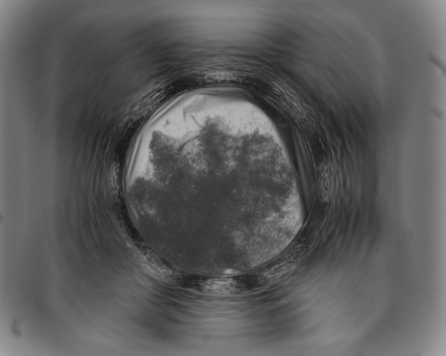 X0000096480410200802211219