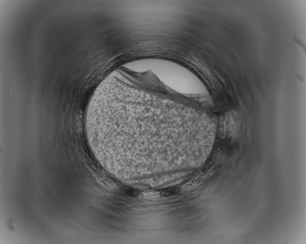 X0000096480413200802211219