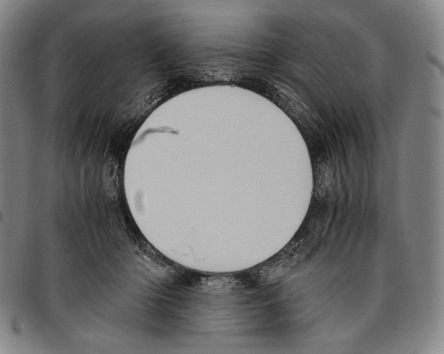 X0000096480414200802211219