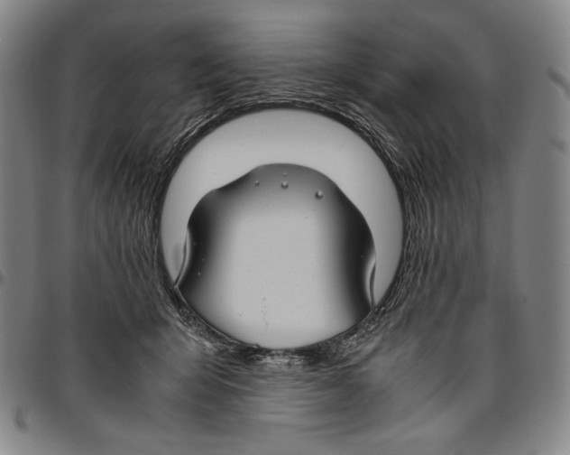X0000096480415200802211219