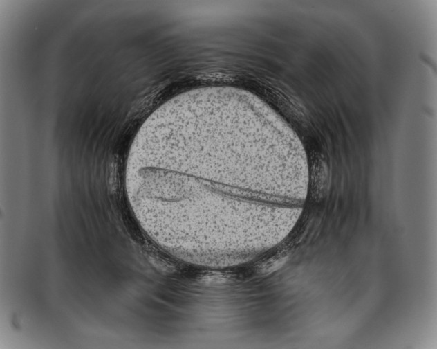 X0000096480416200802211219