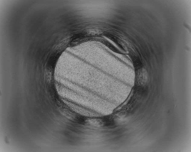 X0000096480417200802211219
