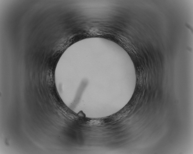 X0000096480418200802211219