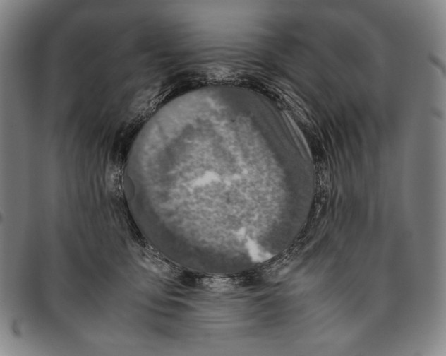 X0000096480419200802211219