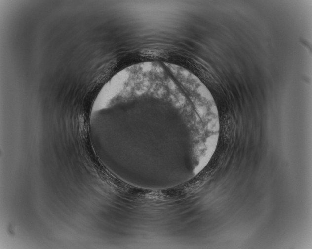 X0000096480420200802211219