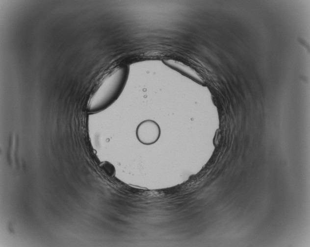 X0000096480421200802211219