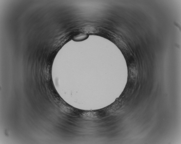 X0000096480422200802211219