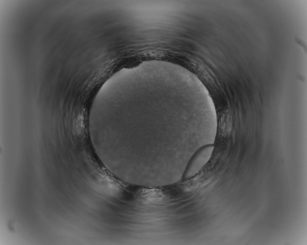 X0000096480424200802211219