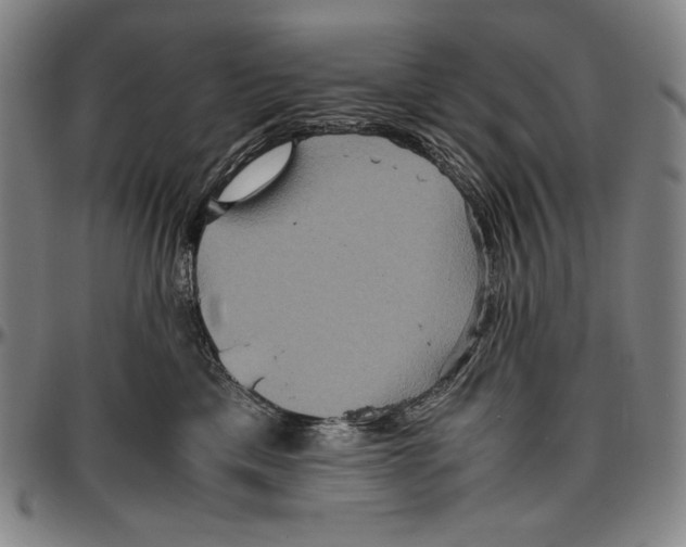 X0000096480425200802211218