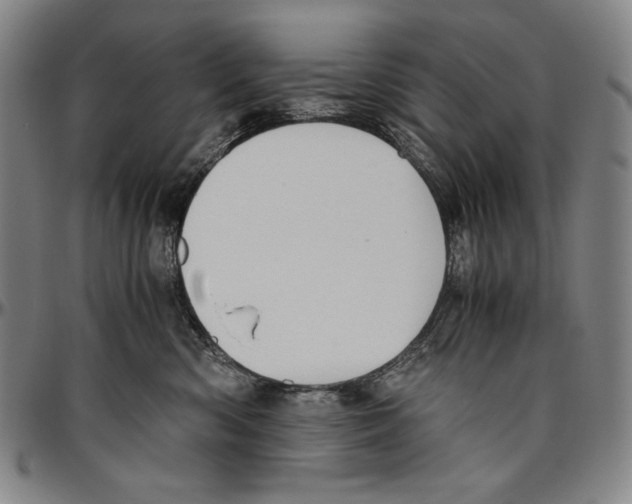 X0000096480426200802211218