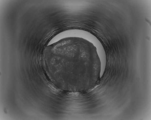 X0000096480428200802211218