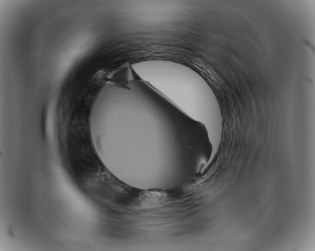 X0000096480429200802211218