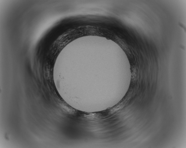 X0000096480430200802211218
