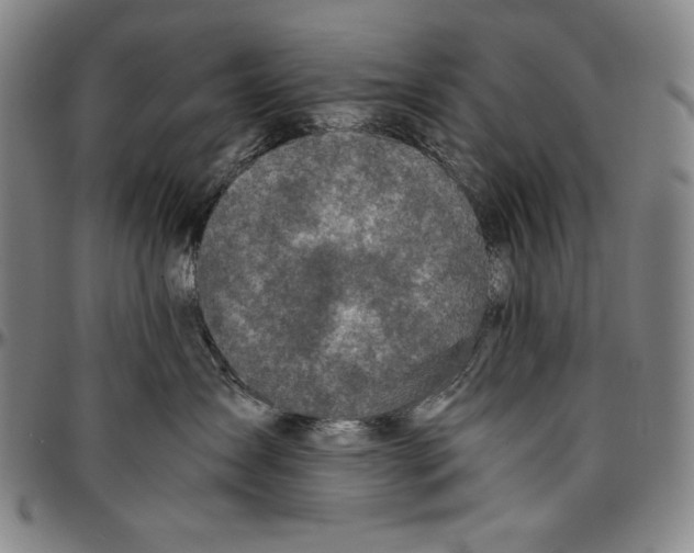 X0000096480431200802211218