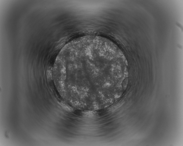 X0000096480432200802211218