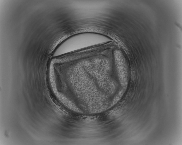 X0000096480434200802211218