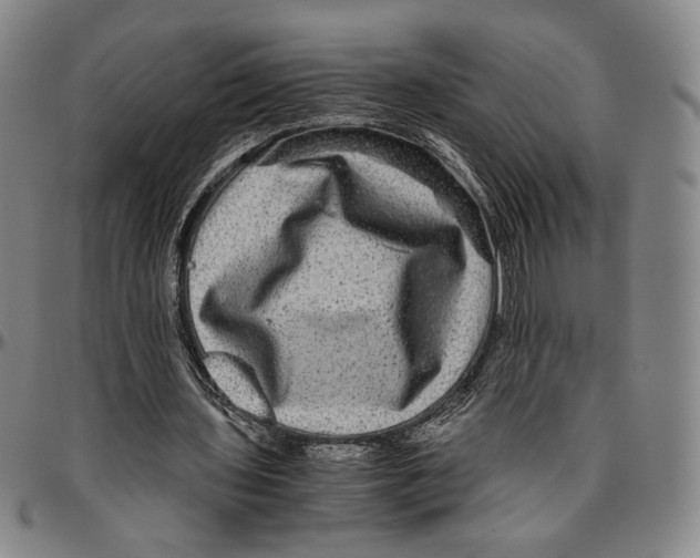 X0000096480435200802211218