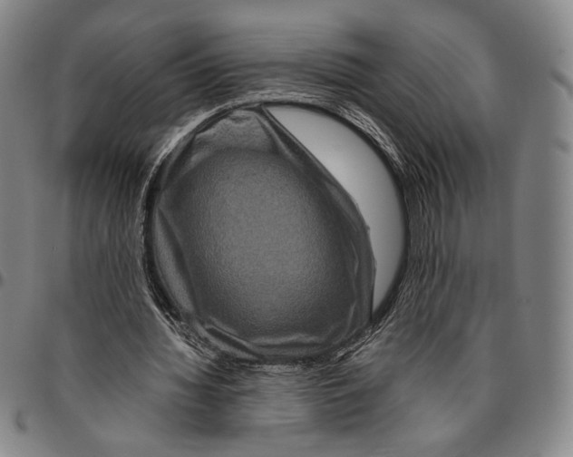 X0000096480436200802211218