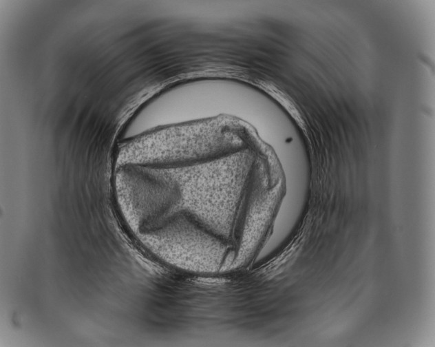 X0000096480437200802211218