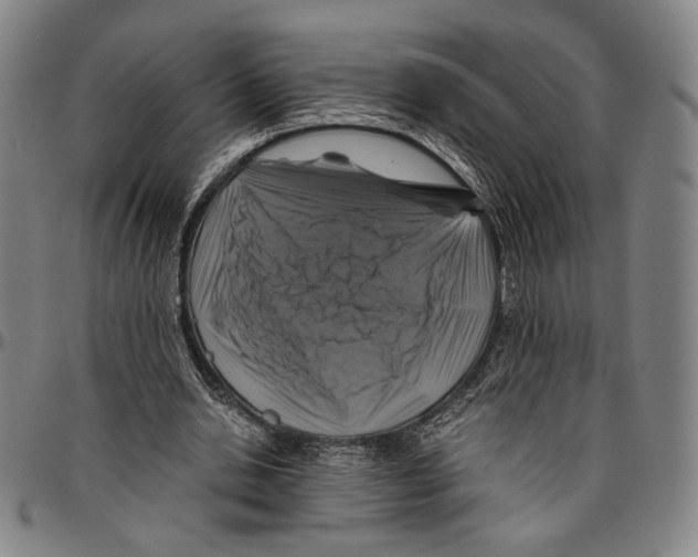 X0000096480438200802211218