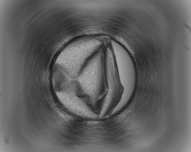 X0000096480439200802211218