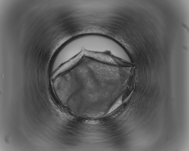 X0000096480440200802211218