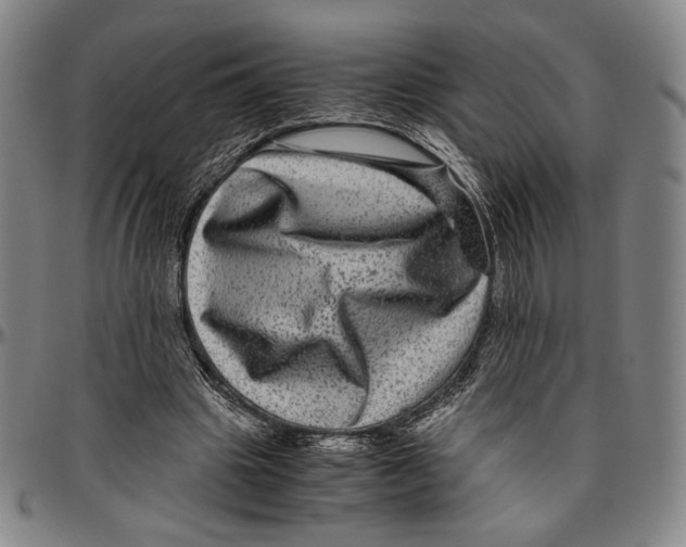 X0000096480441200802211218