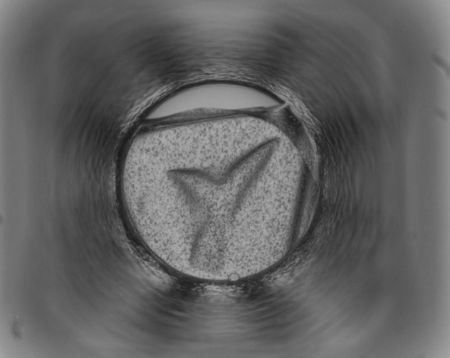 X0000096480442200802211218