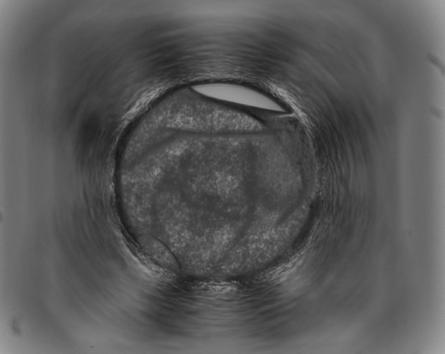 X0000096480443200802211218