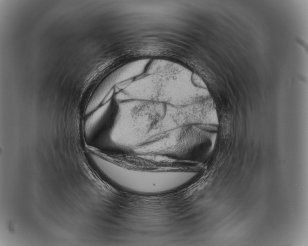 X0000096480446200802211218