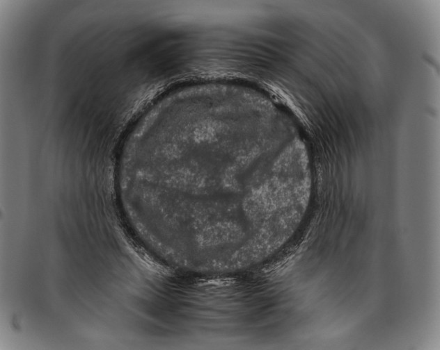 X0000096480447200802211218