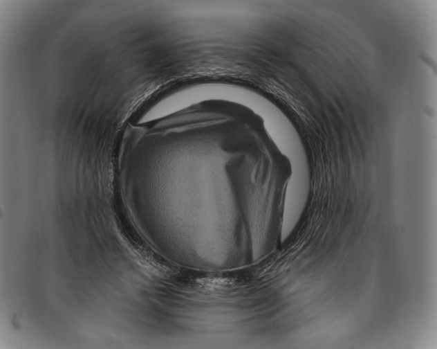X0000096480448200802211218